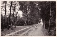 Burg van Walsemlaan - 1942